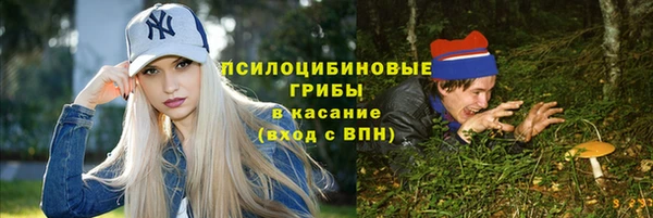 ПСИЛОЦИБИНОВЫЕ ГРИБЫ Алзамай