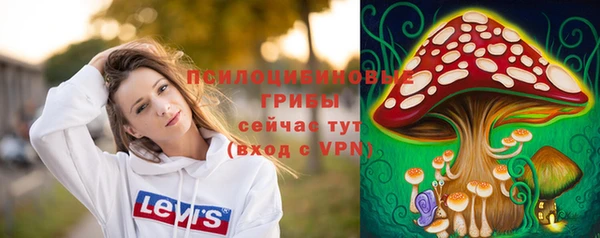 ПСИЛОЦИБИНОВЫЕ ГРИБЫ Алзамай