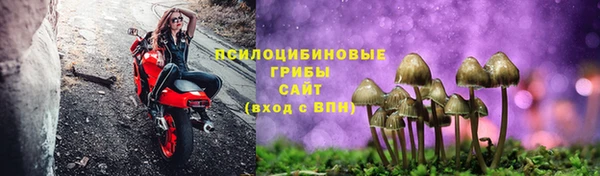 ПСИЛОЦИБИНОВЫЕ ГРИБЫ Алзамай