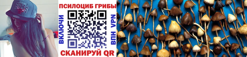 Купить закладки  Ильский  Галлюциногенные грибы прущие грибы 
